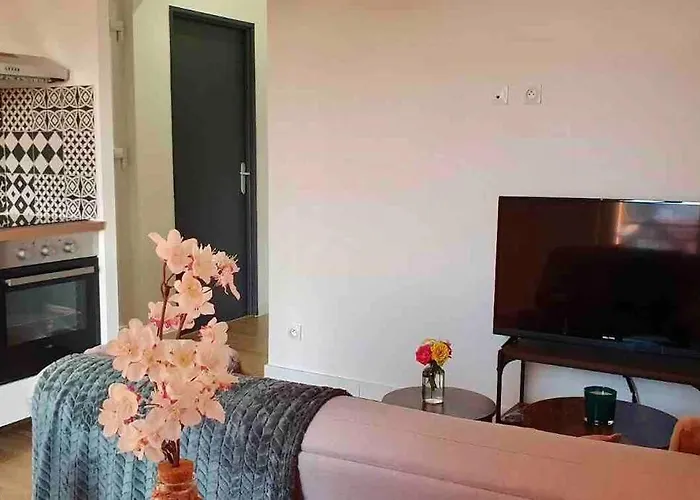 Appartement 40M2 Centre De Vichy