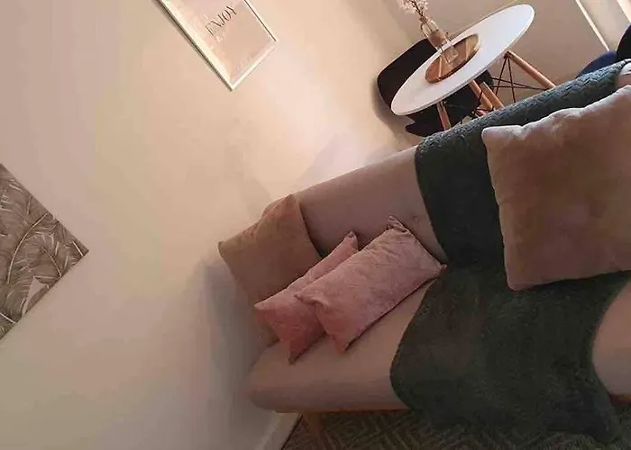 Appartement 40M2 Centre De Vichy